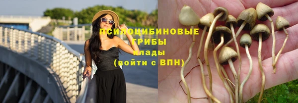 МДПВ Алексин