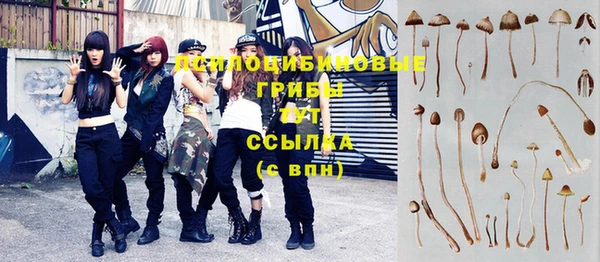 МДПВ Алексин