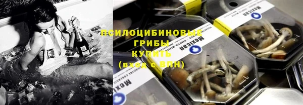 МДПВ Алексин