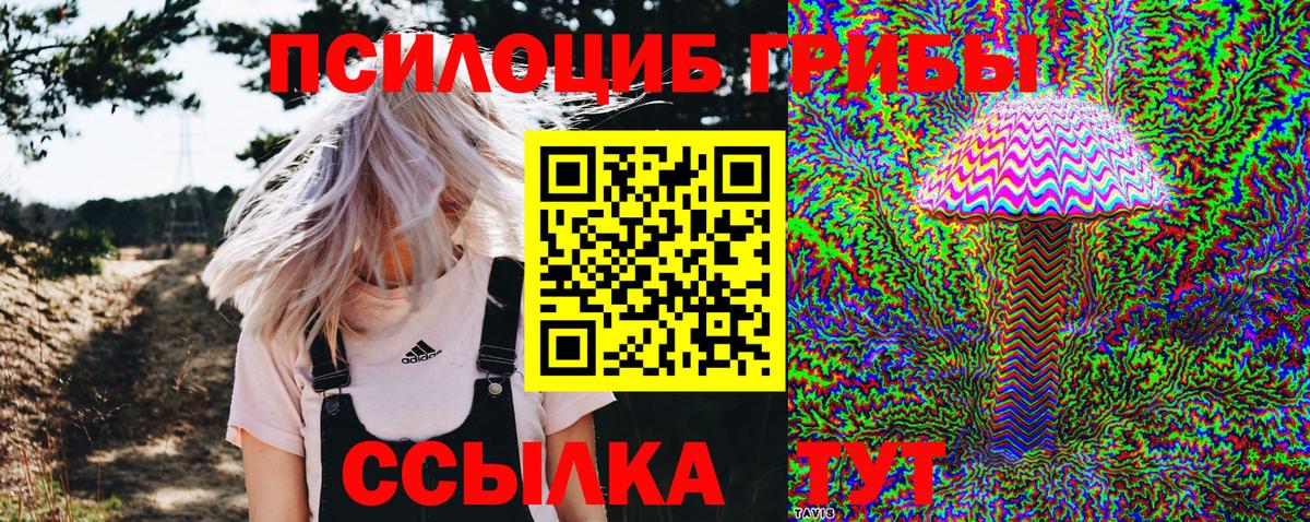 Галлюциногенные грибы Psilocybe Клин