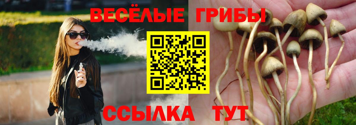 Псилоцибиновые грибы прущие грибы  Вход с VPN  Псилоцибиновые грибы GOLDEN TEACHER  Клин 