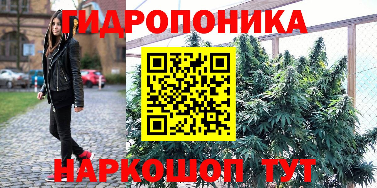 Конопля MAZAR Клин